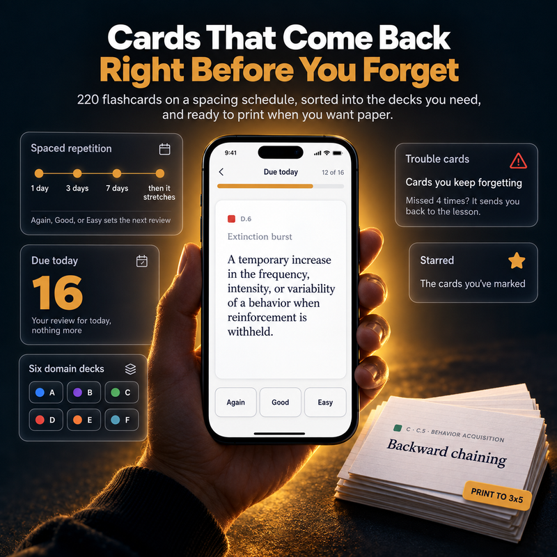 Flash Cards